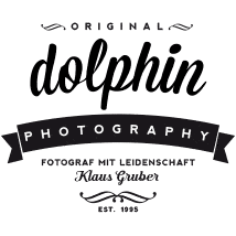 dolphin photography logo