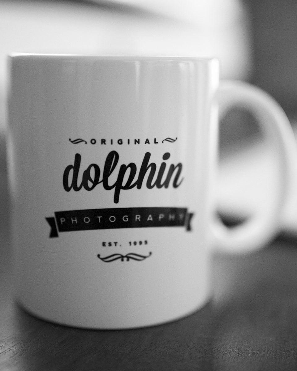 (c) Dolphinphotography.de