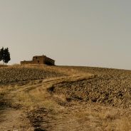 Toskana mit der Fuji Finepix X100 Reisefotografie Toskana