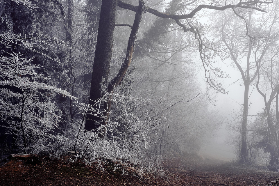 Fotograf Fürth, winter wonderland in der Schweiz, © Klaus Gruber | dolphin photography