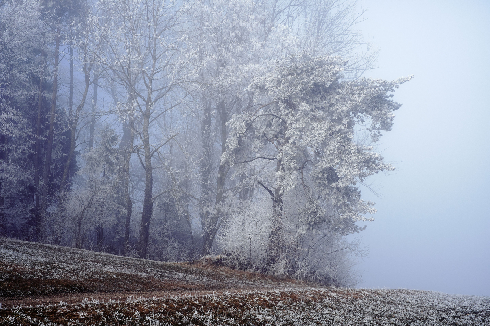Fotograf Fürth, winter wonderland in der Schweiz, © Klaus Gruber | dolphin photography