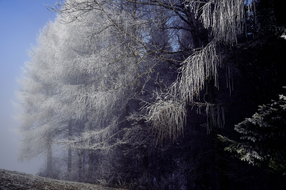 Fotograf Fürth, winter wonderland in der Schweiz, © Klaus Gruber | dolphin photography