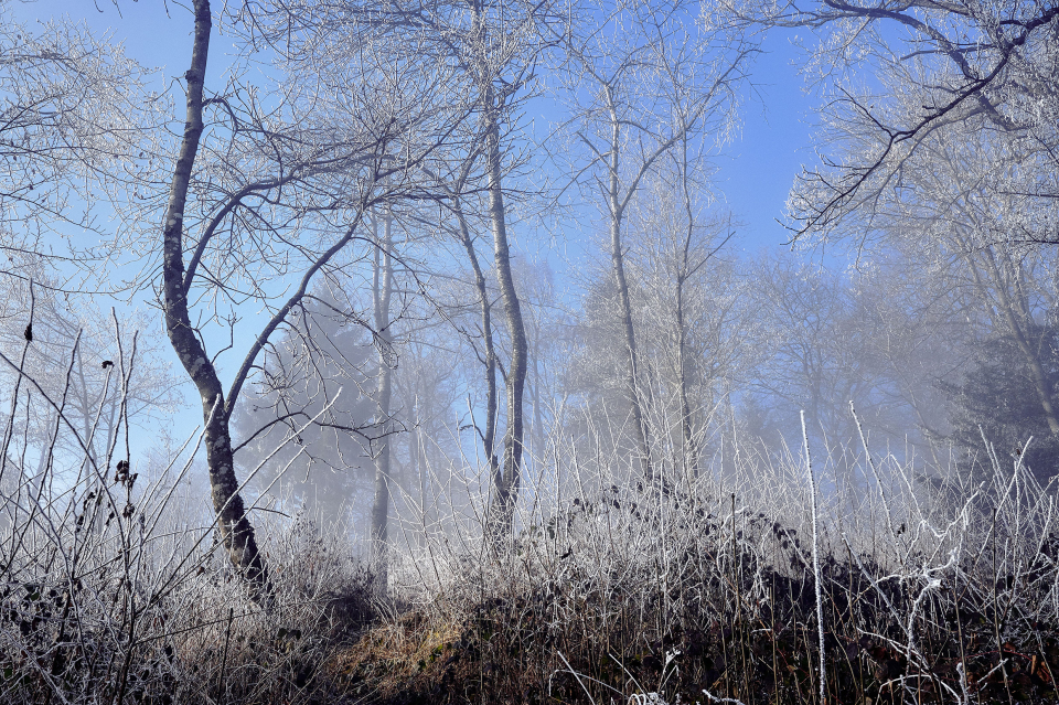 Fotograf Fürth, winter wonderland in der Schweiz, © Klaus Gruber | dolphin photography