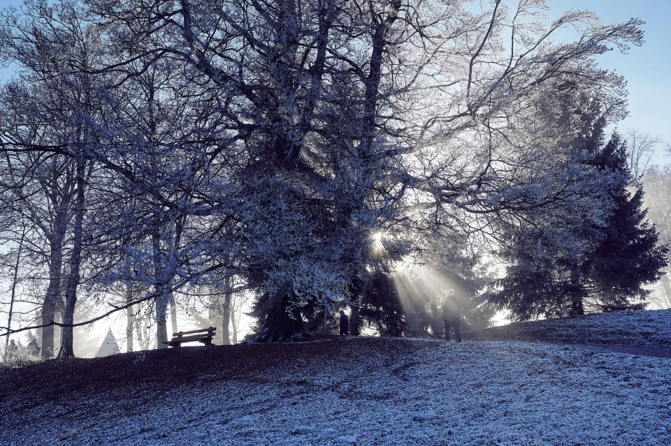 Fotograf Fürth, winter wonderland in der Schweiz, © Klaus Gruber | dolphin photography