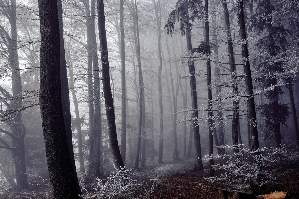 Fotograf Fürth, winter wonderland in der Schweiz, © Klaus Gruber | dolphin photography