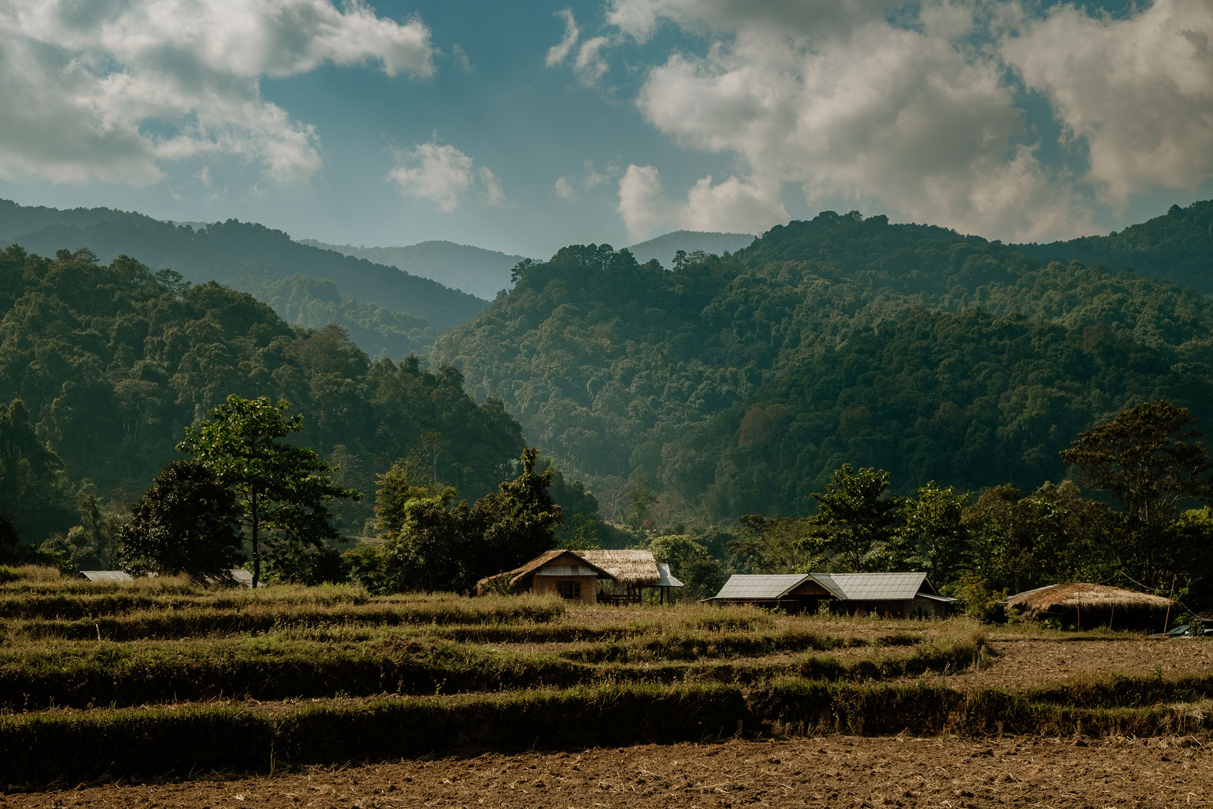 Mit Fuji-Kameras in Nordthailand - Fotograf Fürth, © Klaus Gruber | dolphin photography
