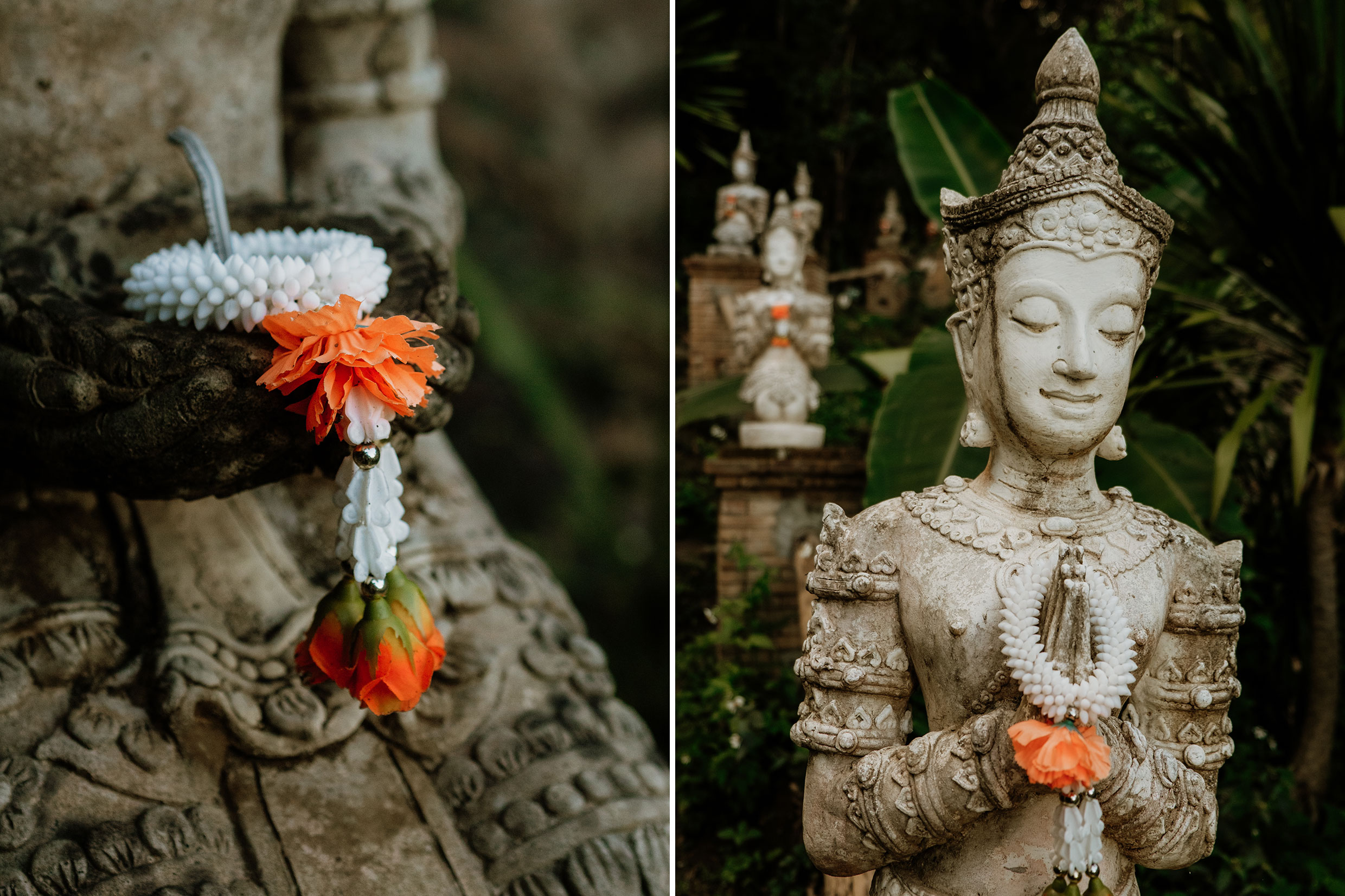Mit Fuji-Kameras in Nordthailand - Fotograf Fürth, © Klaus Gruber | dolphin photography