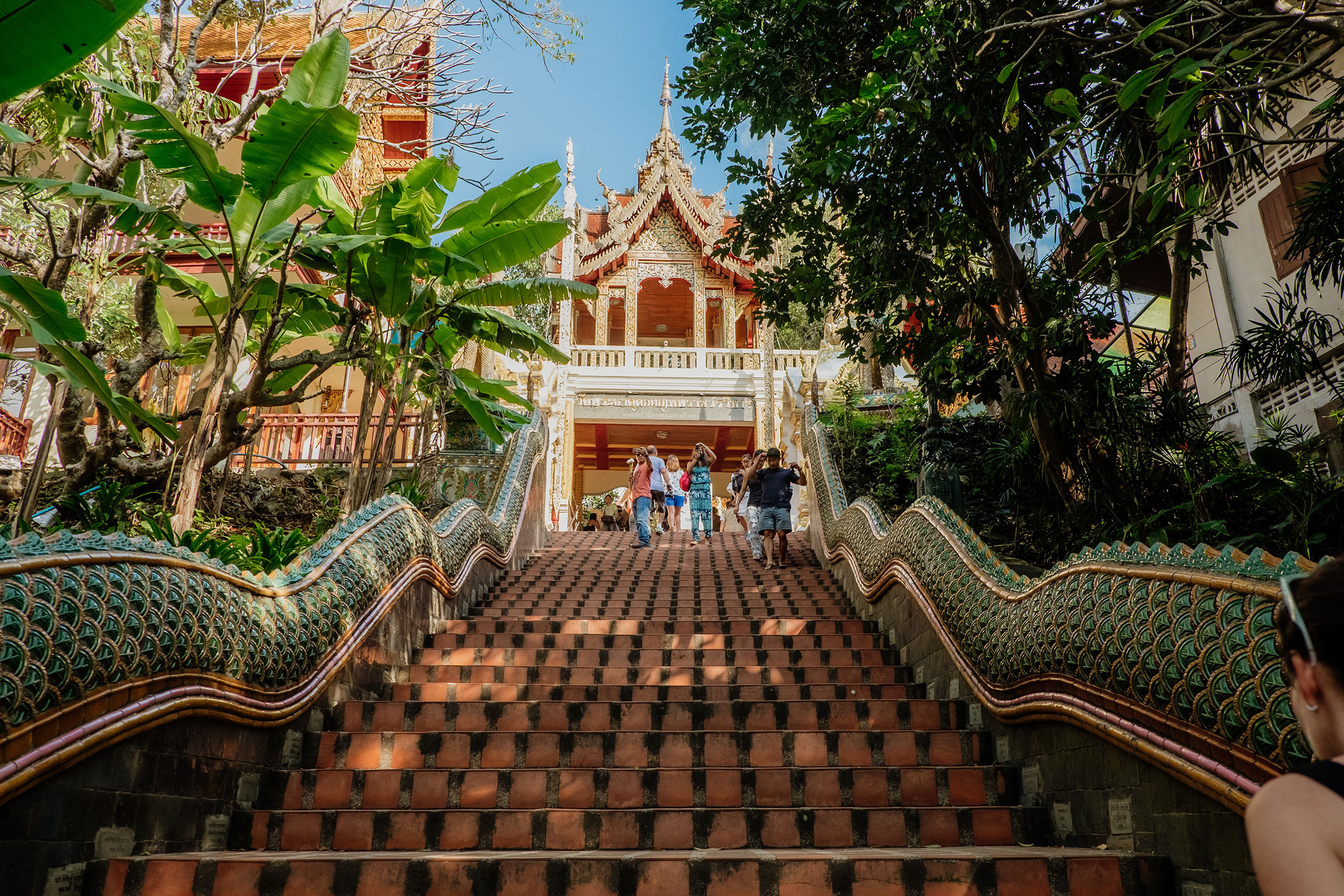 Mit Fuji-Kameras in Nordthailand - Fotograf Fürth, © Klaus Gruber | dolphin photography