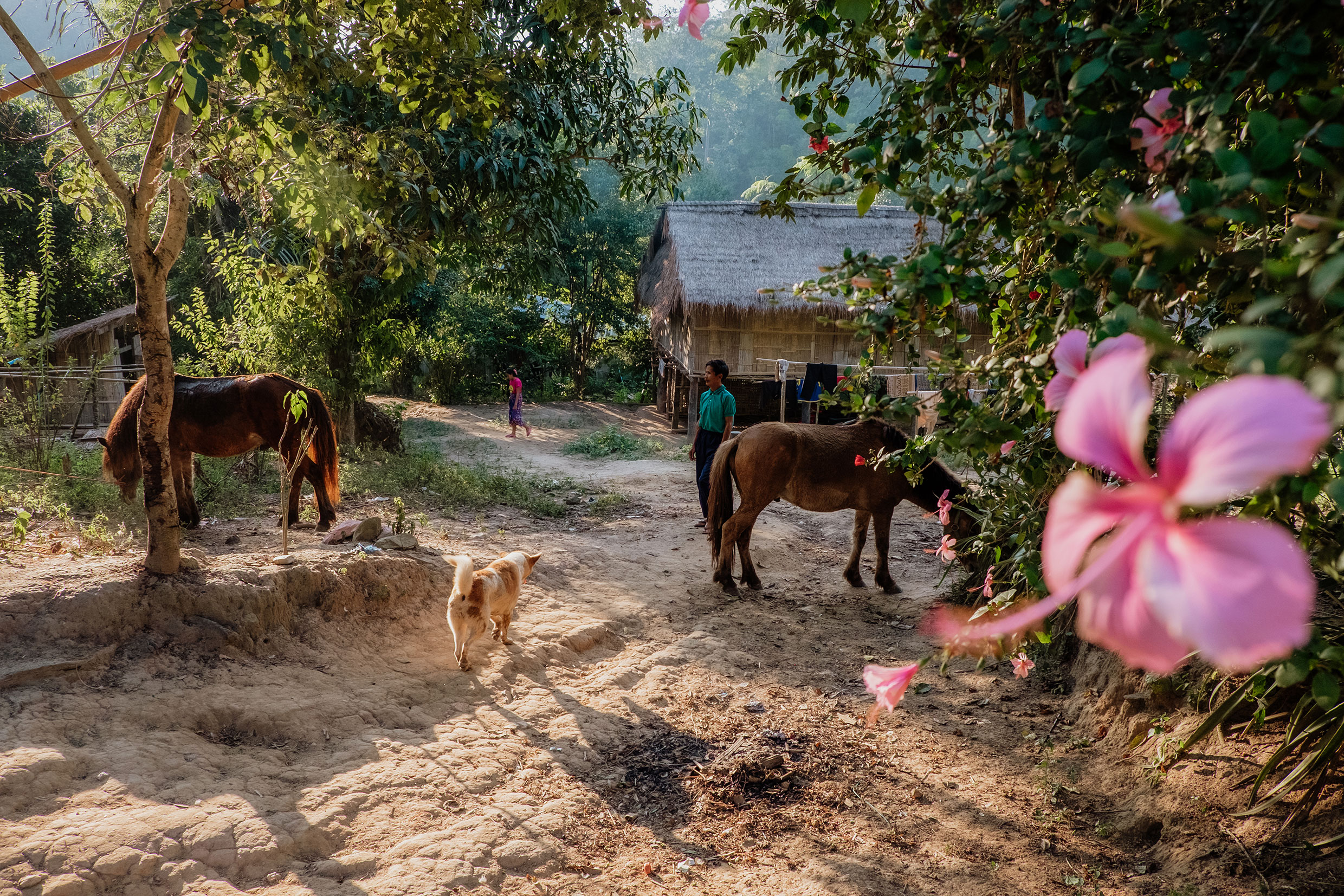 Mit Fuji-Kameras in Nordthailand - Fotograf Fürth, © Klaus Gruber | dolphin photography