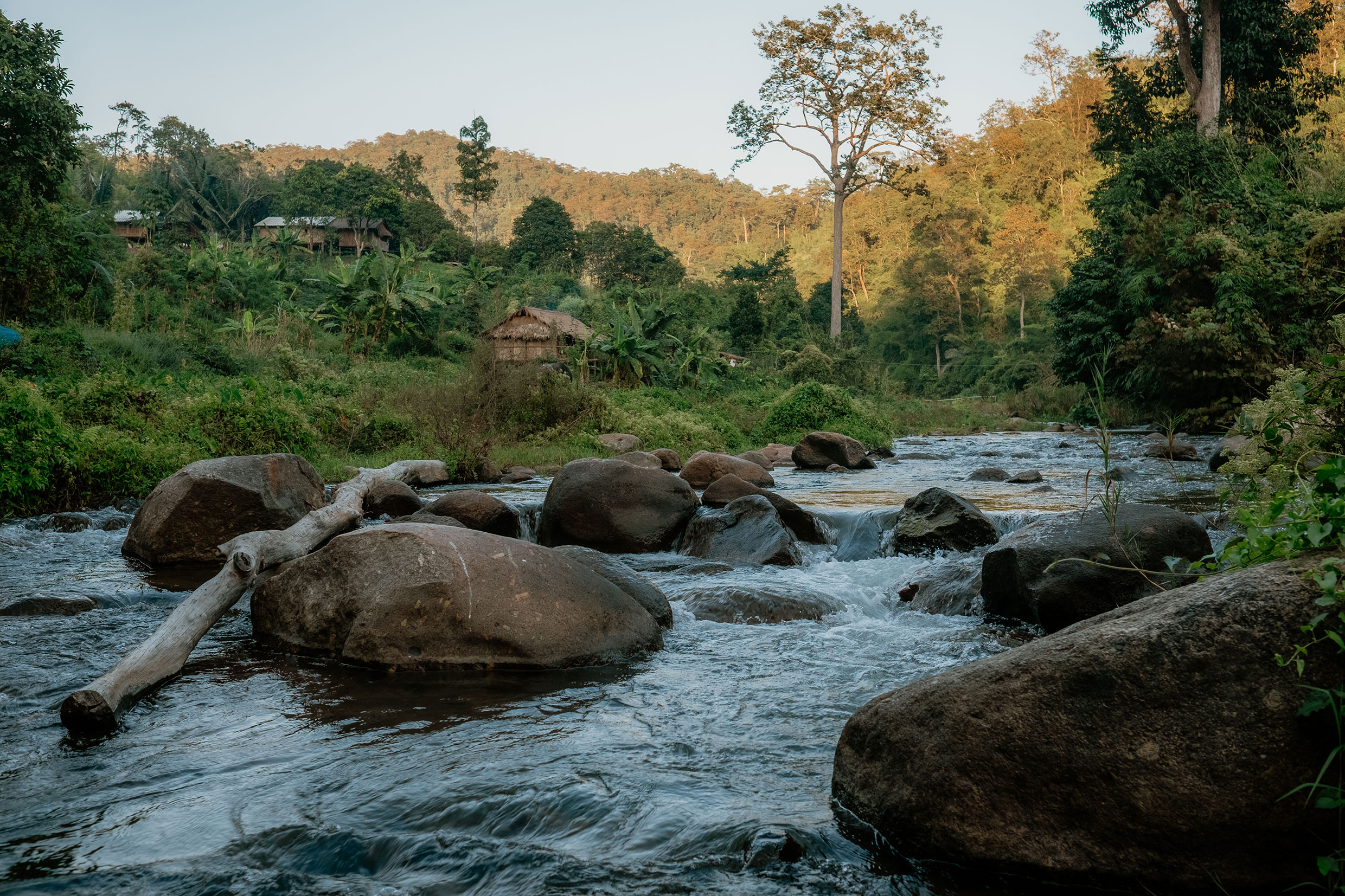 Mit Fuji-Kameras in Nordthailand - Fotograf Fürth, © Klaus Gruber | dolphin photography