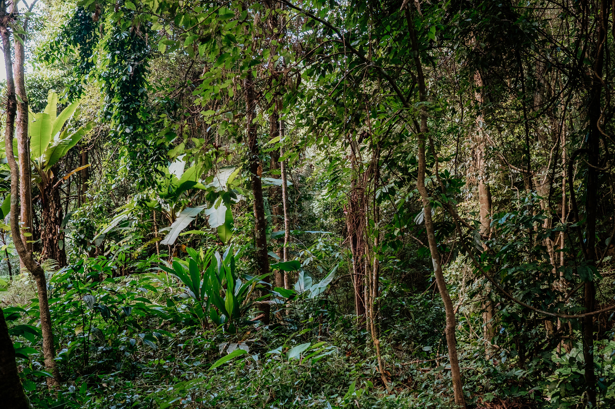 auf dem Mae Hong Son Loop in Nordthailand - Fotograf Fürth, © Klaus Gruber | dolphin photography