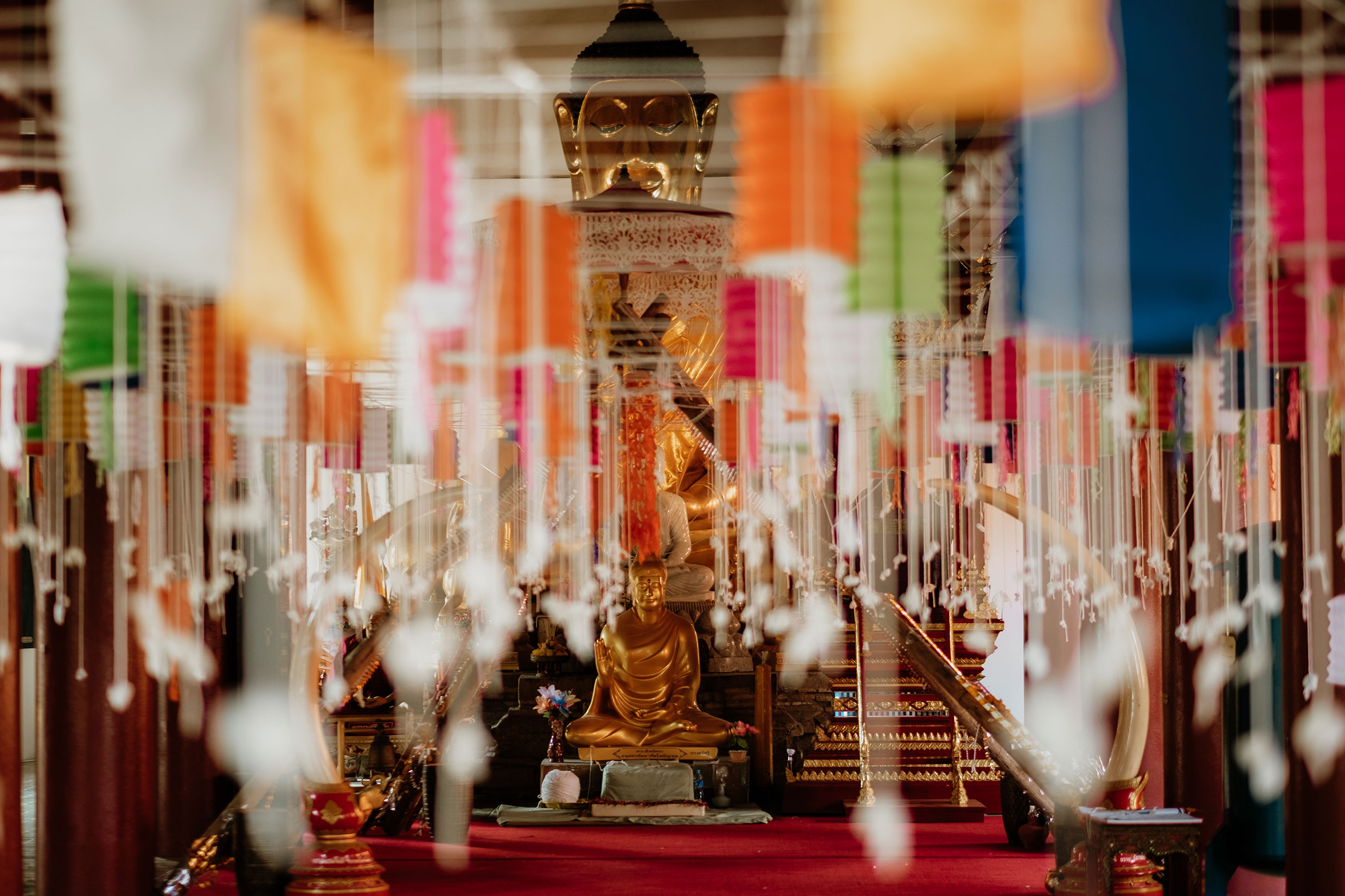 mit Fuji-Kameras in Chiang Mai, Nordthailand - Fotograf Fürth, © Klaus Gruber | dolphin photography