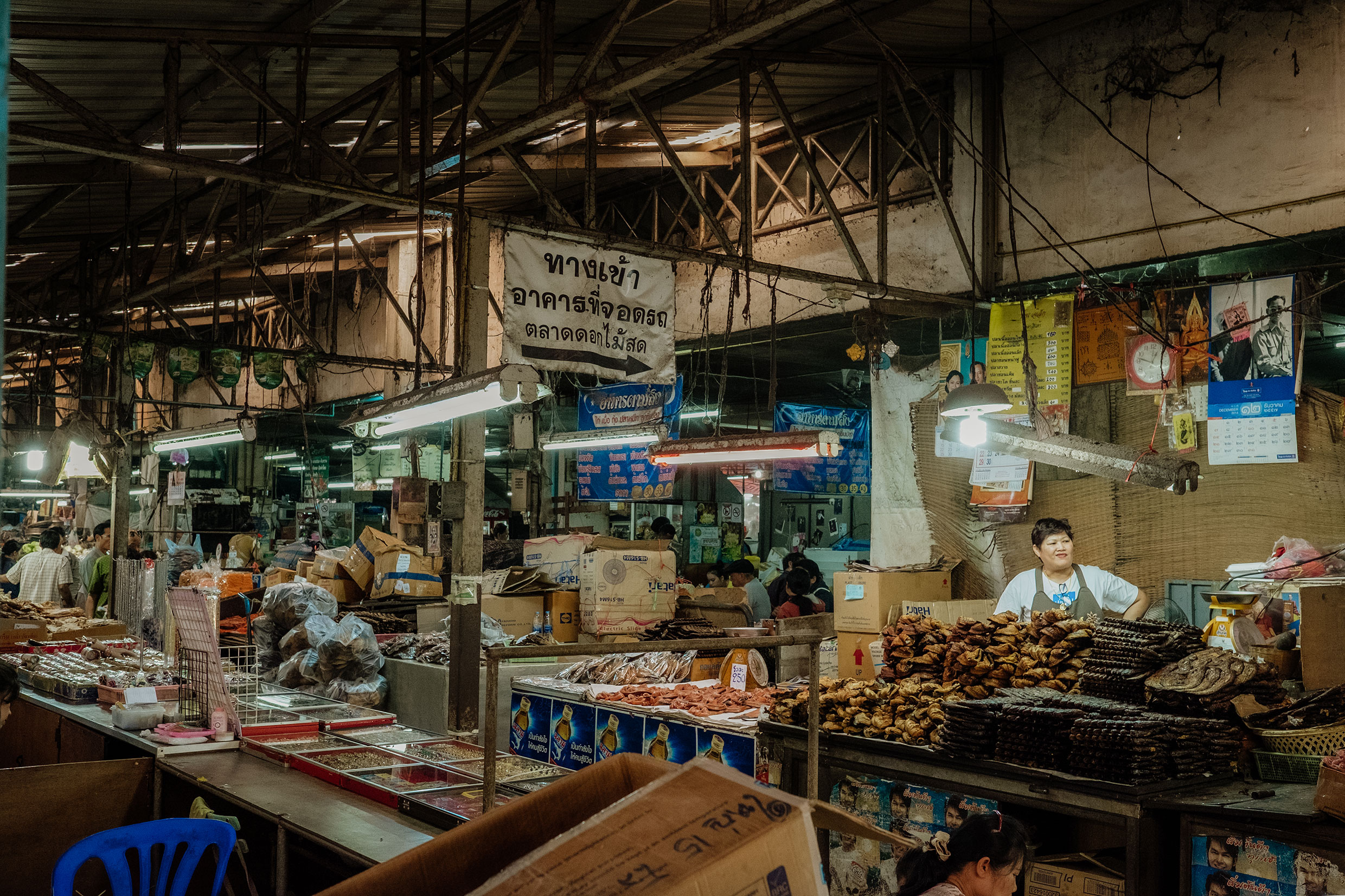 mit Fuji-Kameras in Chiang Mai, Nordthailand - Fotograf Fürth, © Klaus Gruber | dolphin photography