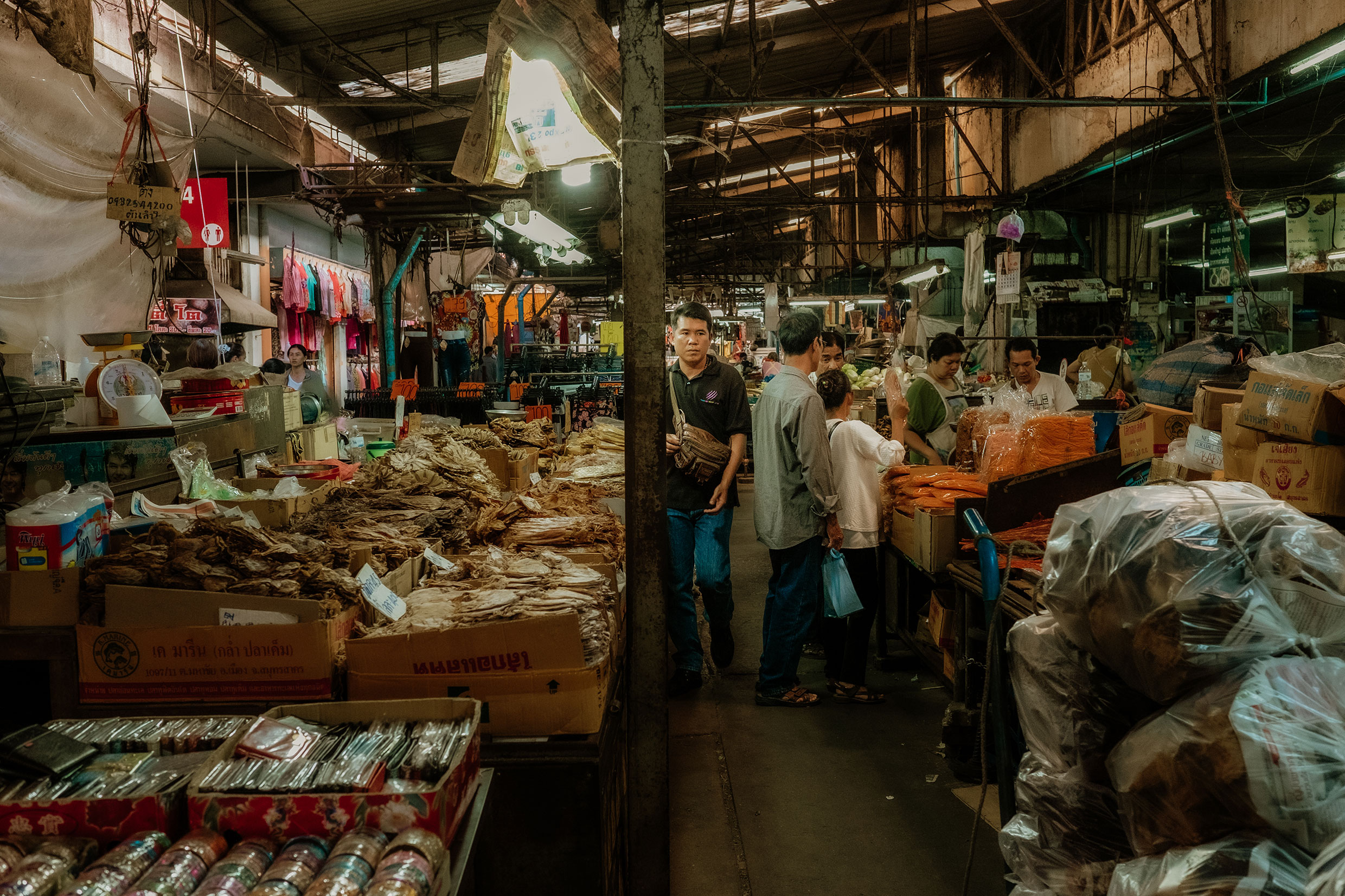mit Fuji-Kameras in Chiang Mai, Nordthailand - Fotograf Fürth, © Klaus Gruber | dolphin photography