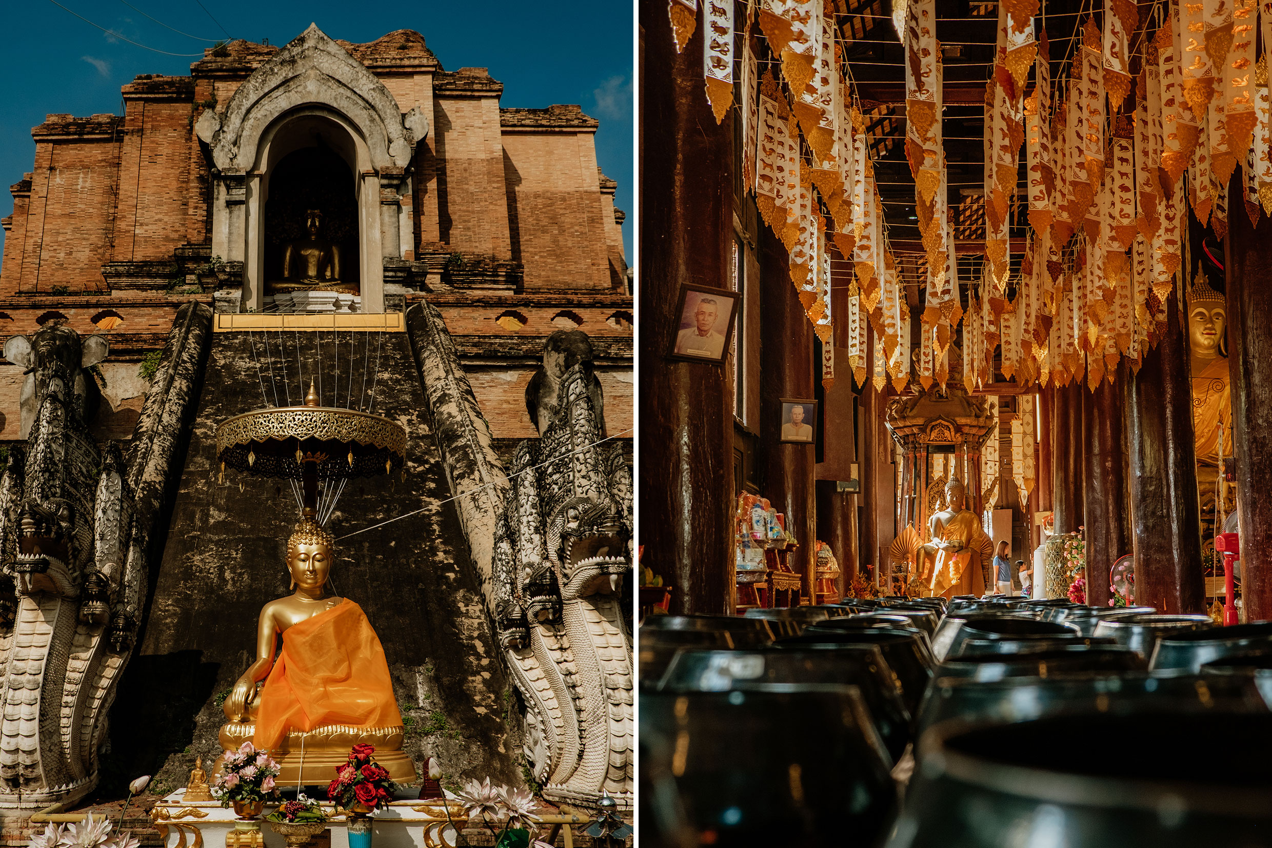 mit Fuji-Kameras in Chiang Mai, Nordthailand - Fotograf Fürth, © Klaus Gruber | dolphin photography