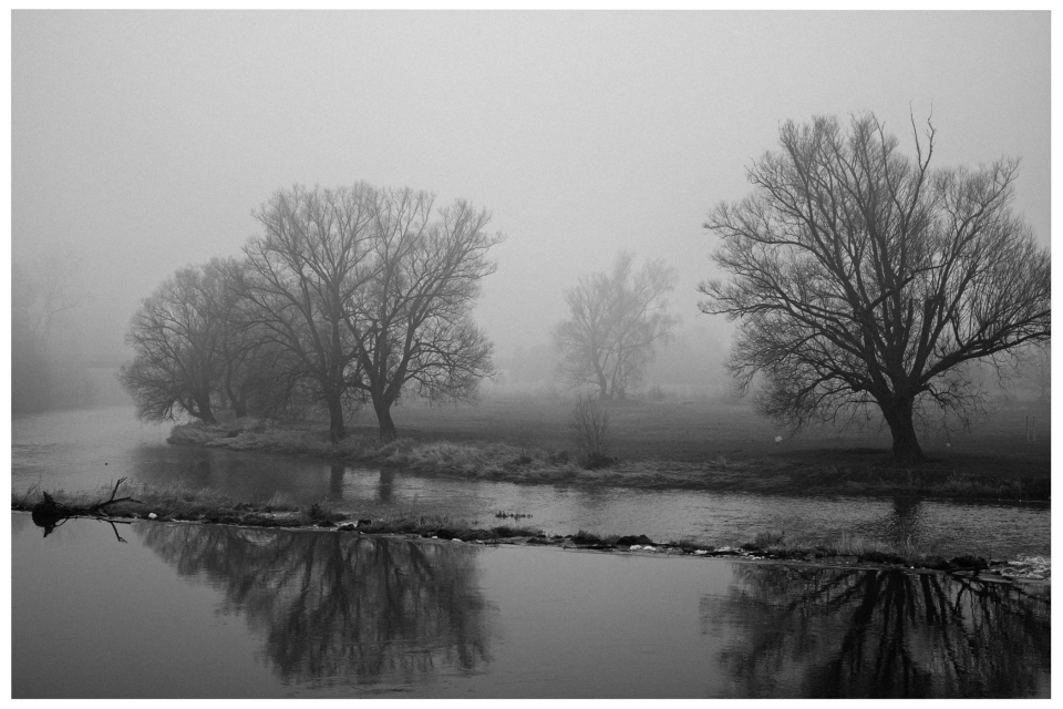 Nebelige Landschaft mit kahlen Bäumen am Flussufer, reflektiert im Wasser, © Klaus Gruber | dolphin photography