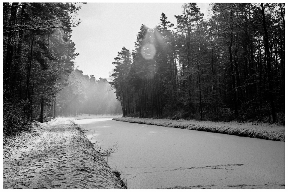 Schmaler Pfad am zugefrorenen Fluss, umgeben von Schneewald unter diffusem Sonnenlicht, © Klaus Gruber | dolphin photography