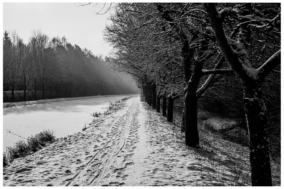 Verschneiter Weg am Fluss mit schneebedeckten Bäumen und bewaldetem Hintergrund, © Klaus Gruber | dolphin photography