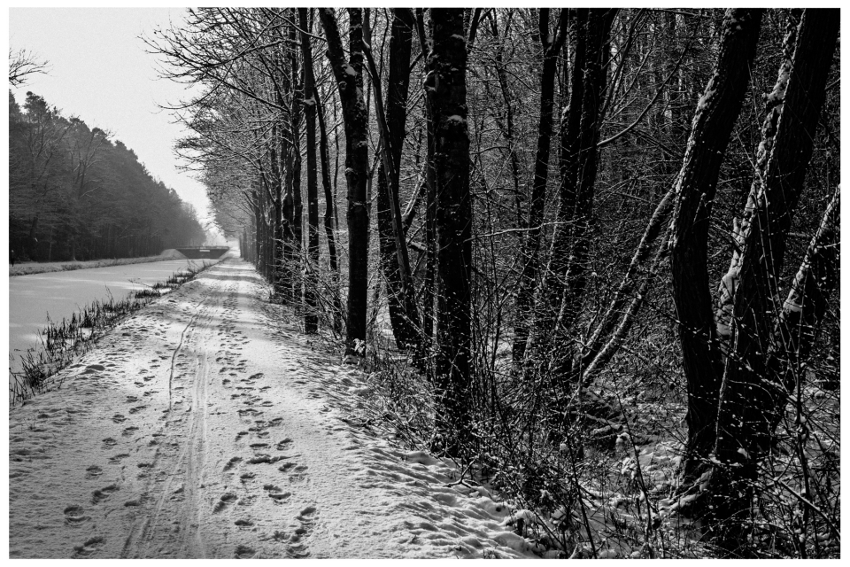 Verschneiter Waldweg mit Fußspuren, entlang eines Kanals und schneebedeckten Bäumen, © Klaus Gruber | dolphin photography