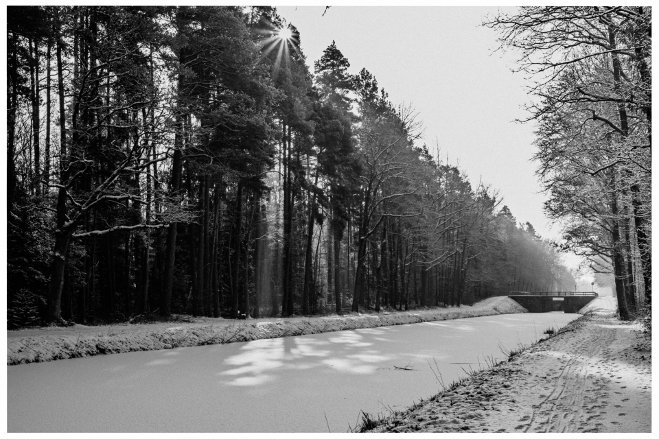 Kanal und Wald im Schnee, Sonnenstrahlen durch Bäume, Brücke im Hintergrund, © Klaus Gruber | dolphin photography