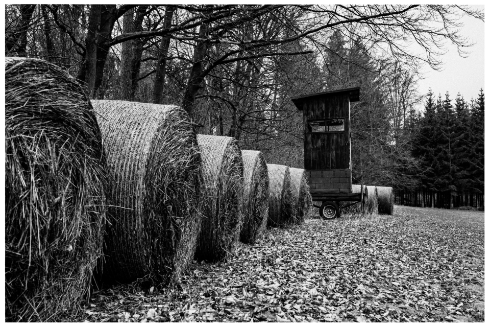 Heuballen auf Laubfeld mit Hochsitzanhänger, dahinter Bäume, © Klaus Gruber | dolphin photography