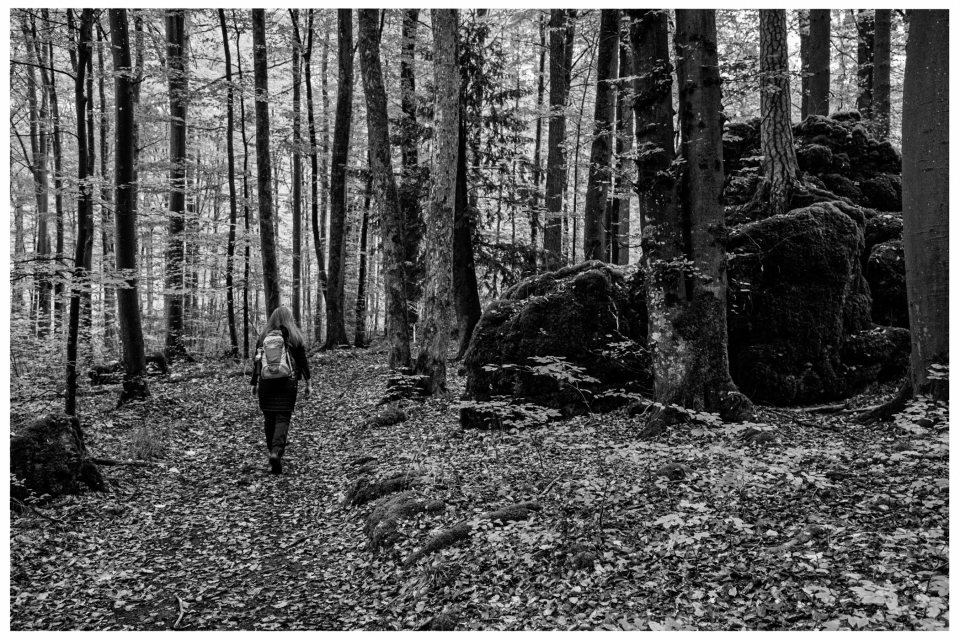 Person mit Rucksack wandert auf Waldweg, umgeben von Bäumen und Felsen, Schwarzweißbild, © Klaus Gruber | dolphin photography