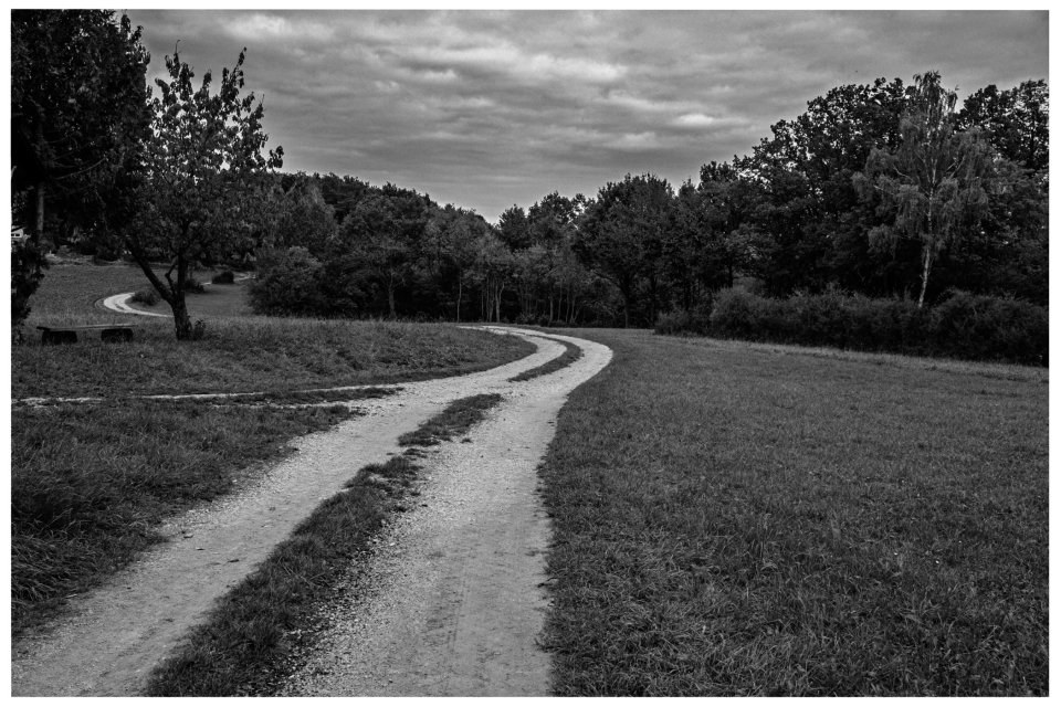 Gewundener Schotterweg durch verlassene Landschaft mit Gras und Bäumen unter bewölktem Himmel, © Klaus Gruber | dolphin photography
