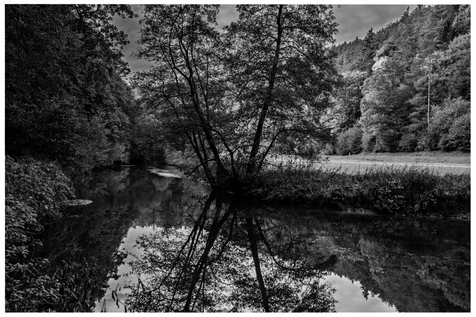 Schwarzweißfoto eines Flusses mit Baum und bewaldeten Hügeln im Hintergrund, © Klaus Gruber | dolphin photography
