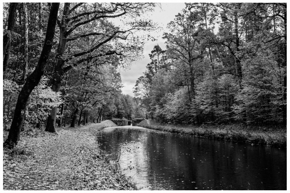 Waldweg am Fluss mit Brücke, umrahmt von Bäumen, bewölkter Himmel, © Klaus Gruber | dolphin photography