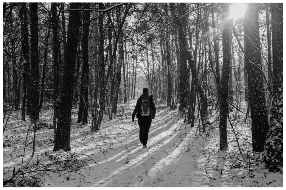 Person wandert mit Rucksack auf schneebedecktem Waldweg, Sonnenstrahlen durch Bäume, © Klaus Gruber | dolphin photography