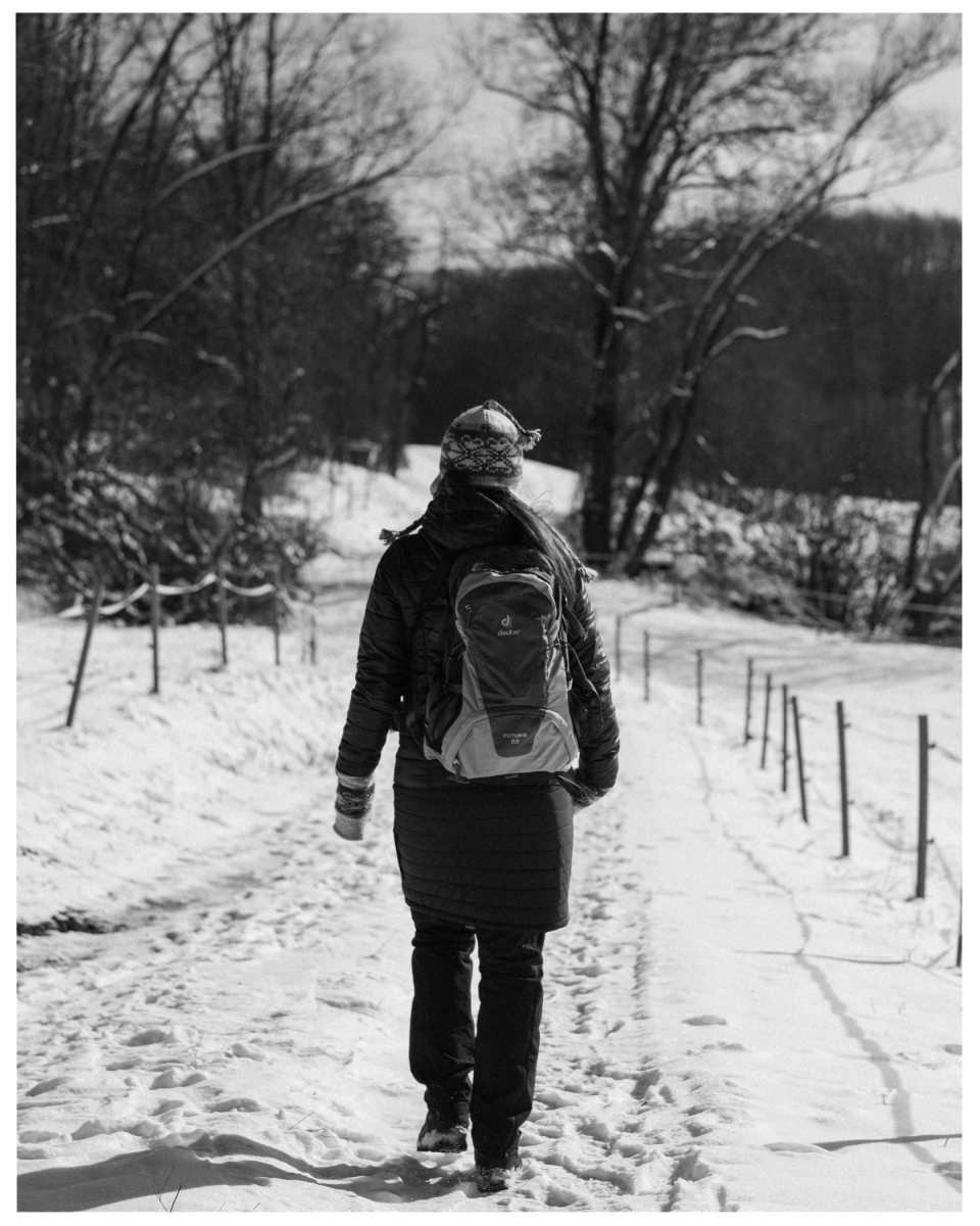 Person wandert mit Rucksack in winterlicher, schneebedeckter Landschaft und Bäumen im Hintergrund, © Klaus Gruber | dolphin photography