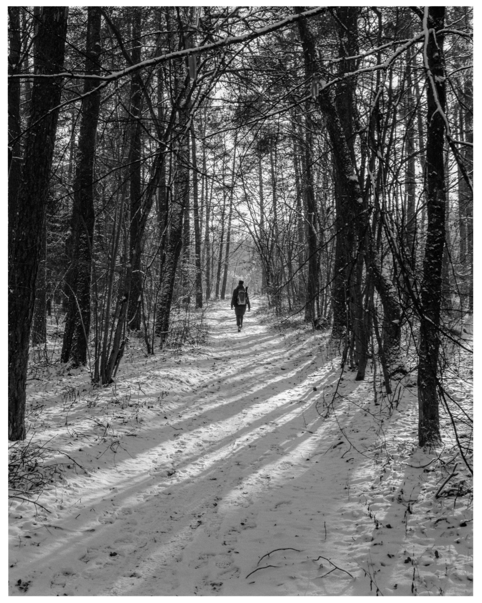 Fotograf Fürth - Schwarzweissfotos - Heimat, © Klaus Gruber | dolphin photography