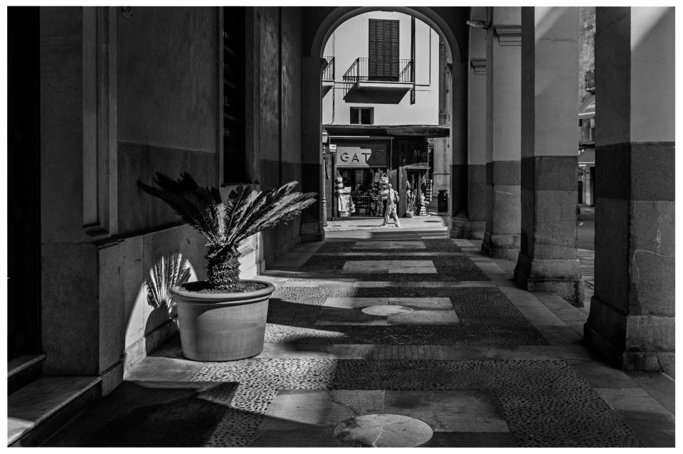 Arkadenpassage mit Topfpflanze, Geschäft „GATO“ und Person, Schattenspiele auf dem Boden, © Klaus Gruber | Fotograf Fürth