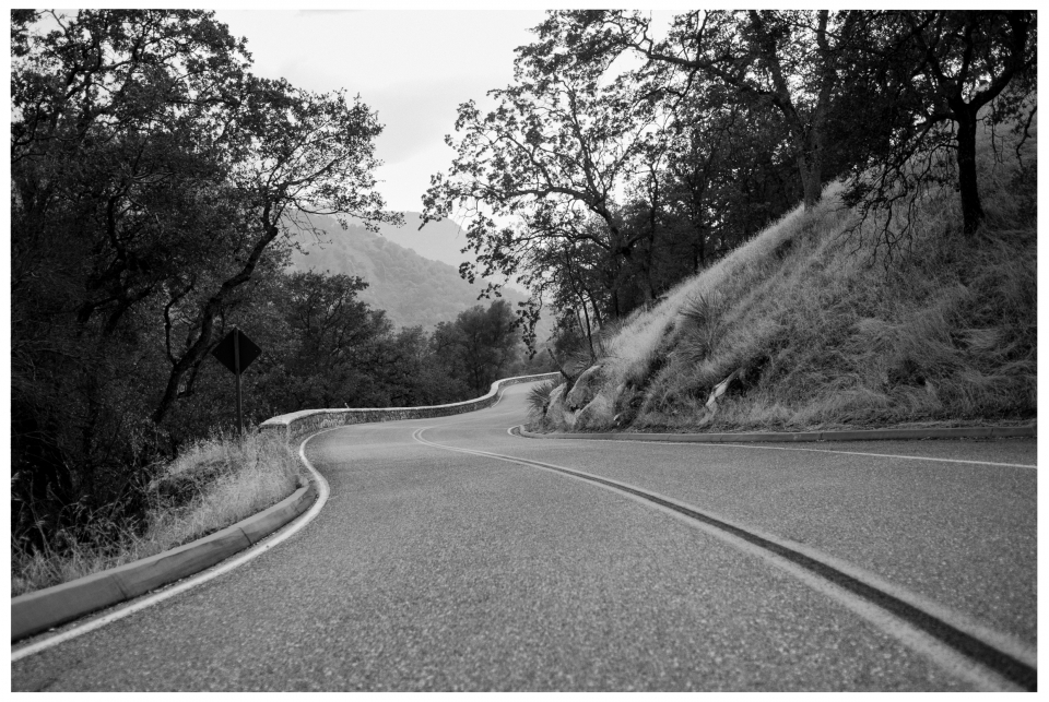 Schwarz-Weiß-Foto von kurviger Straße in bewaldeter Landschaft mit sanftem Hang.