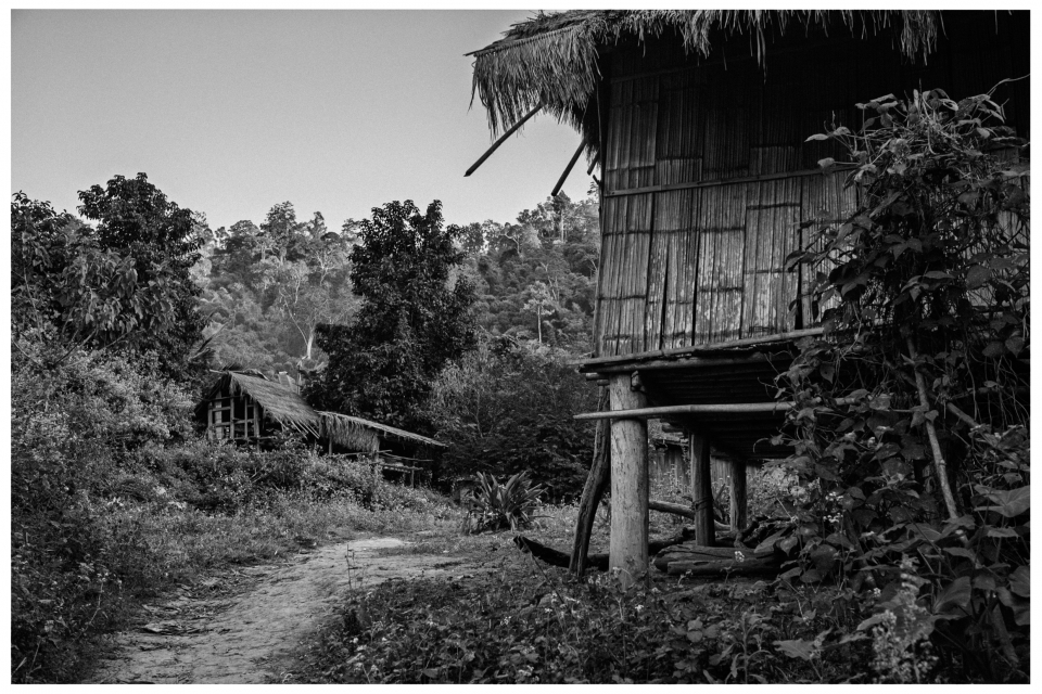 Bambushäuser mit Strohdächern in bewaldeter Umgebung, Weg durch Vegetation, Bäume, Büsche., © Klaus Gruber | Fotograf Fürth