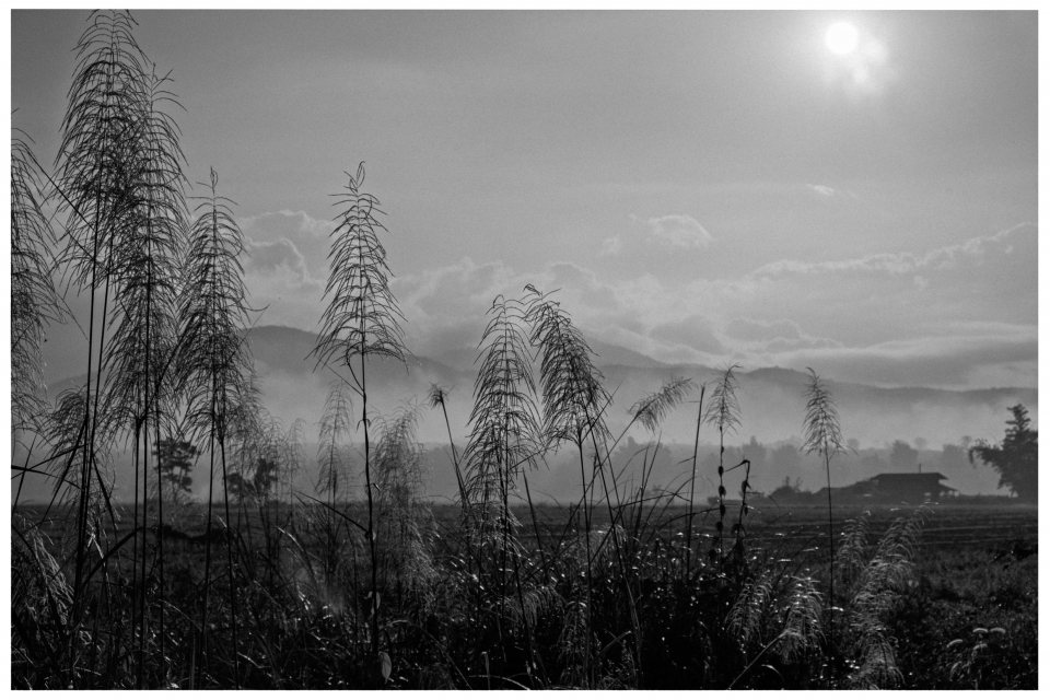 Schwarz-weiß-Foto von Gräsern vor nebligen Hügeln und bewölkter, sonniger Himmel, © Klaus Gruber | Fotograf Fürth