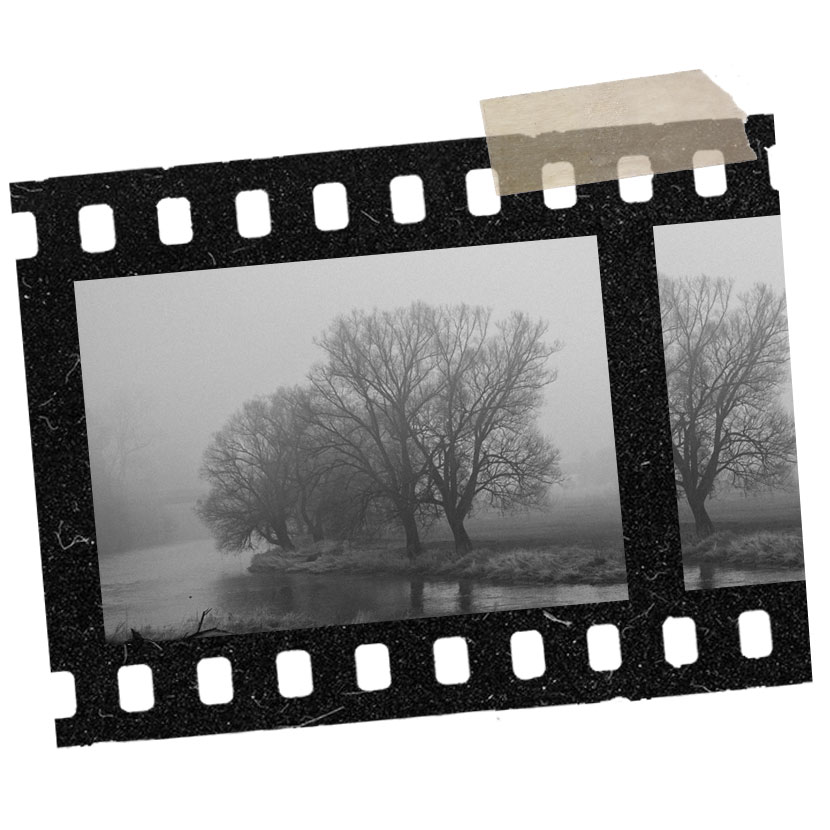 Fotograf Fürth - Schwarzweissfotos - Heimat Fotograf Fürth - Schwarzweissfotos - Heimat