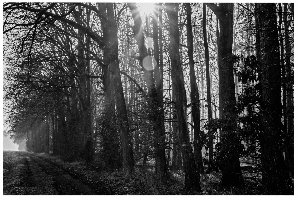 Schwarzweissfotos - Heimat, © Klaus Gruber | Fotograf Fürth