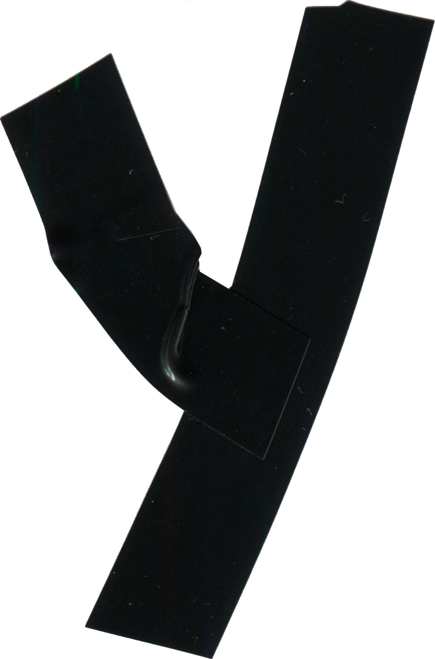 Y